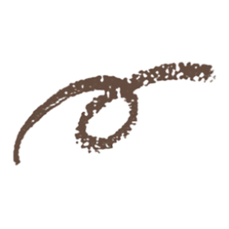 SHISEIDO Eyebrow Pencil 1pc - Image 6