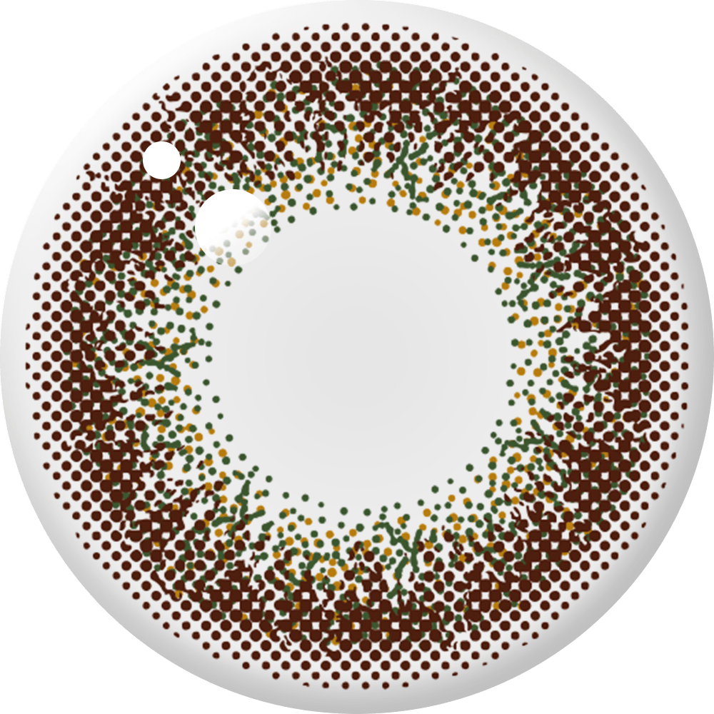 envie 1Day Olive Brown DIA|14.0mm 10pcs Color Contact Lenses - Image 4