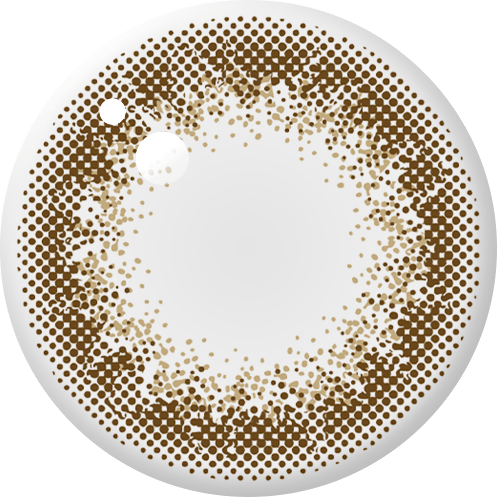 envie 1Day Classic Umber DIA|14.0mm 10pcs Color Contact Lenses - Image 4