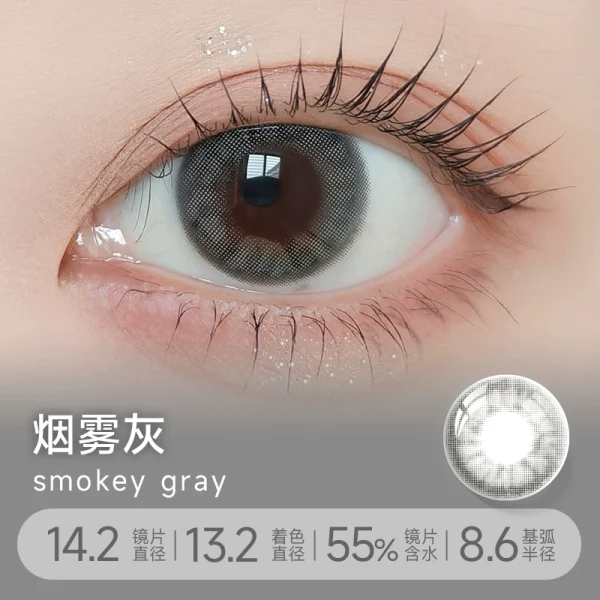 LILMOON 1Day Smokey Gray DIA|14.2mm 10pcs Color Contact Lenses