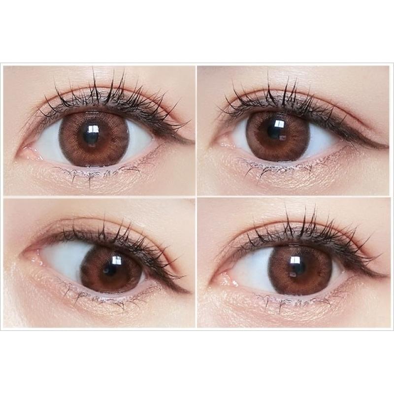 Flurry 1Day Mocha Dark Brown DIA|14.5mm 10pcs Color Contact Lenses - Image 3