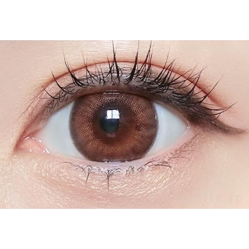 Flurry 1Day Mocha Dark Brown DIA|14.5mm 10pcs Color Contact Lenses - Image 2