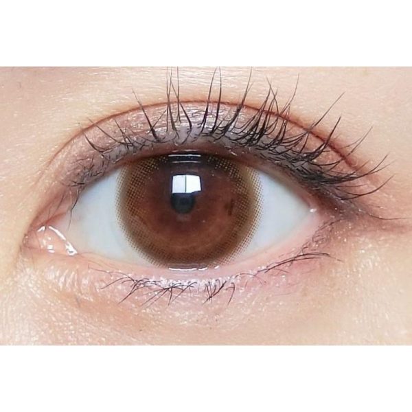 MOLAK 1Day Sakura Petal DIA|14.2mm 10pcs Color Contact Lenses