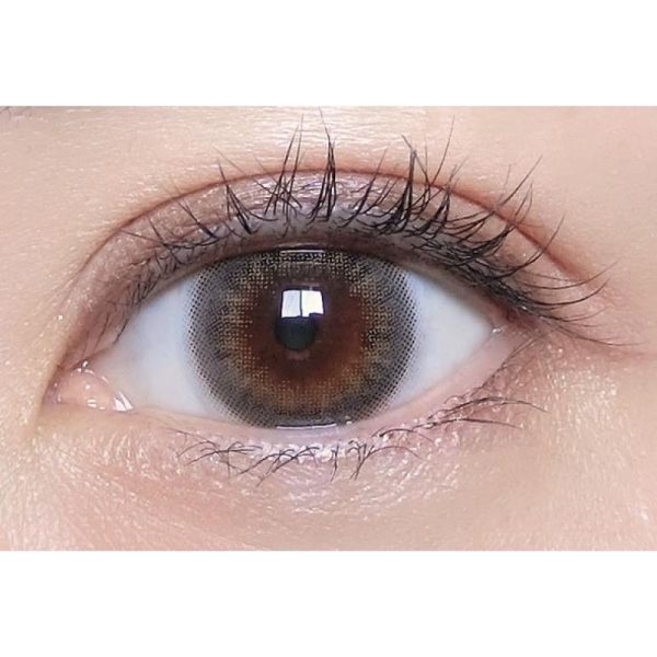 MOLAK 1Day Melty Mist DIA|14.2mm 10pcs Colored Contacts