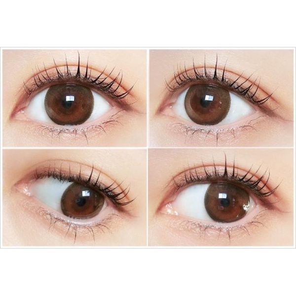 N’s COLLECTION 1Day Hot Chocolate DIA|14.2mm 10pcs Color Contact Lenses