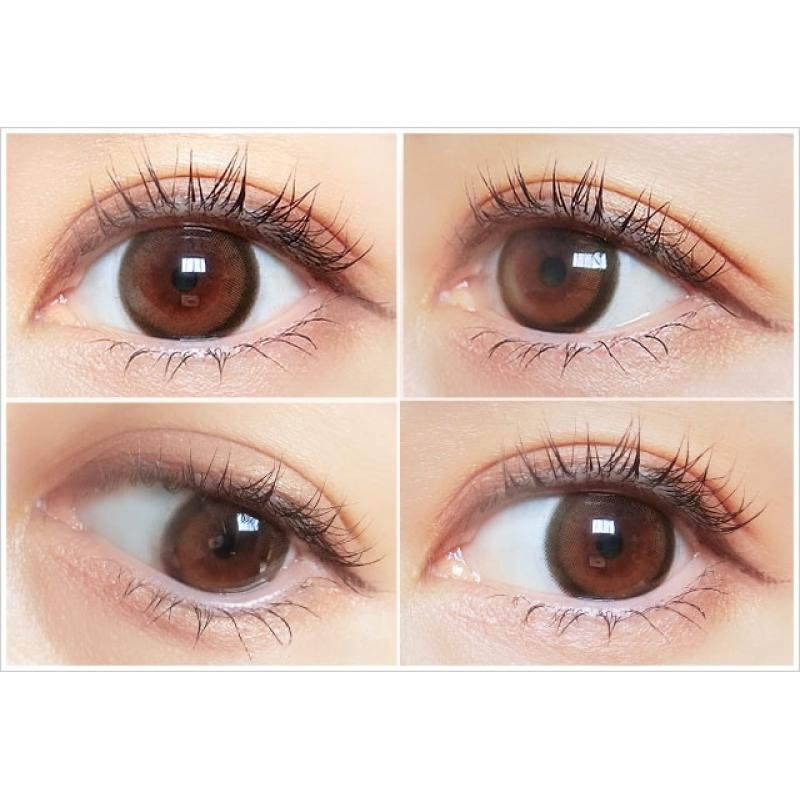 MOLAK 1Day Brown Bunny DIA|14.2mm 10pcs Colored Contacts - Image 3
