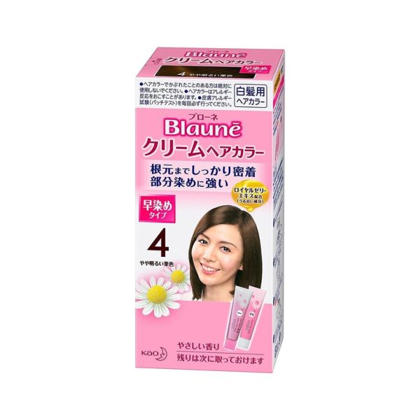 KAO Blaune Cream Hair Color