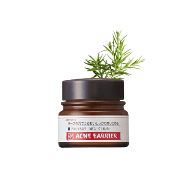 ISHIZAWA LABS Acne Barrier Medicinal Protect Gel Cream 33g