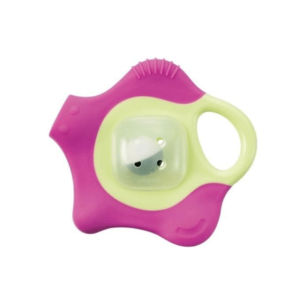 PIGEON Star Berry Teether
