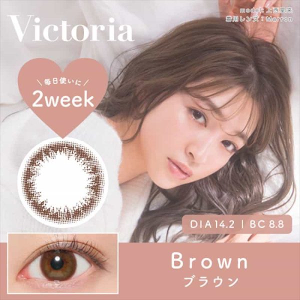 Victoria 2-week Brown DIA|14.2mm 6pcs Color Contact Lenses