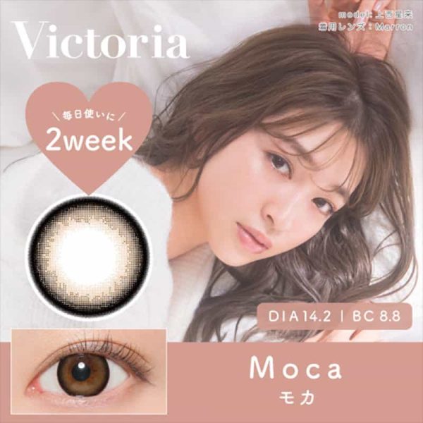 Victoria 2-week Moca DIA|14.2mm 6pcs Color Contact Lenses