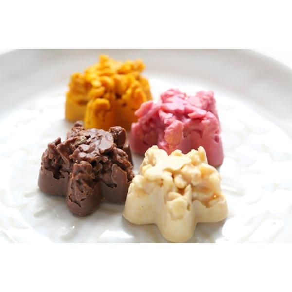 Maeda Seika  Osaka Limited Edition Chocolate Crispy Cookies  12 Pieces