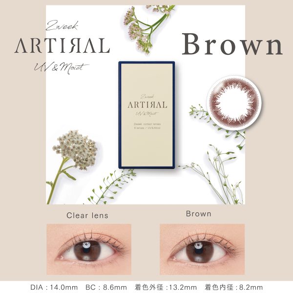 Artiral 2-Week Brown DIA|14.0mm 6pcs Color Contact Lenses