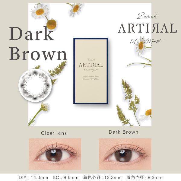 Artiral 2-Week Dark Brown DIA|14.0mm 6pcs Color Contact Lenses