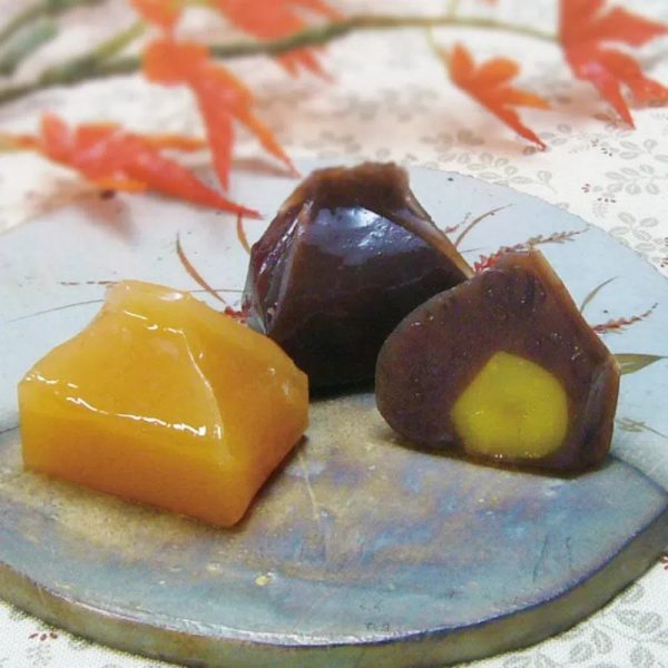 Wakasaikan (Kaki no Confection/Chestnut Confection) 7 pieces