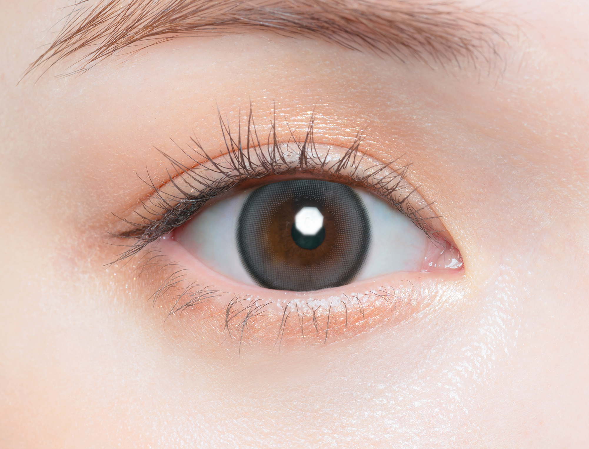 Chus me 1Day Serum Gray DIA|14.2mm 10pcs Color Contact Lenses - Image 2