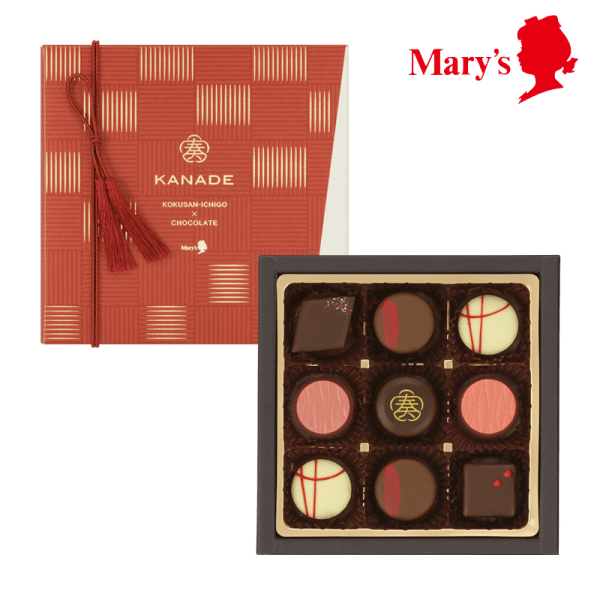 Mary’s Strawberry Chocolate Gift Box with 9 pieces