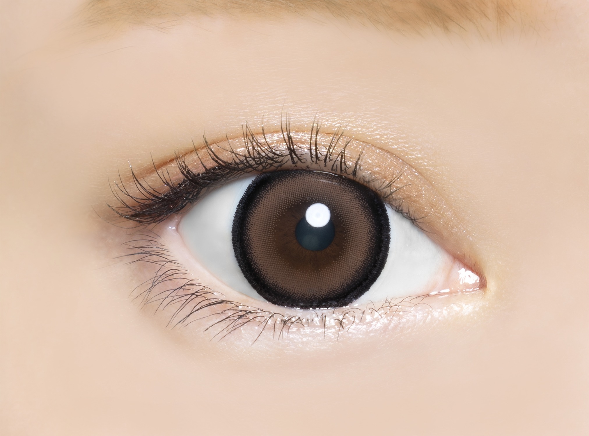 Angelcolor Bambi 1Day Honey Moon DIA|15.mm 10pcs Colored Contact Lenses - Image 2