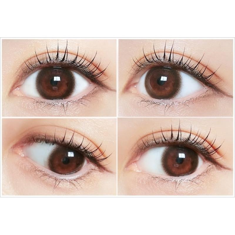 TOPARDS 1Day Baby Espresso DIA|14.5mm 10pcs Color Contact Lenses - Image 3