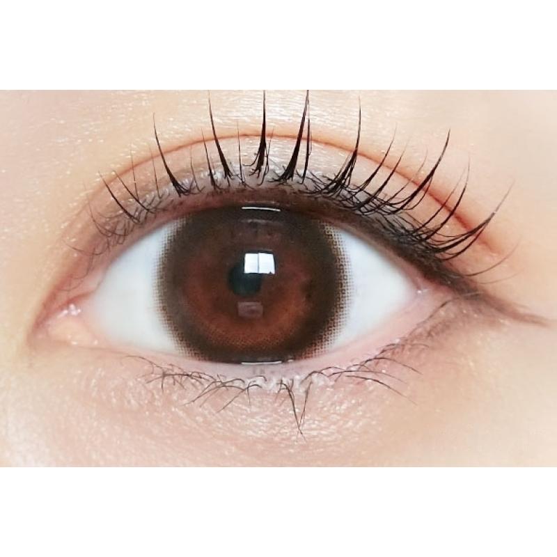 TOPARDS 1Day Baby Espresso DIA|14.5mm 10pcs Color Contact Lenses - Image 2