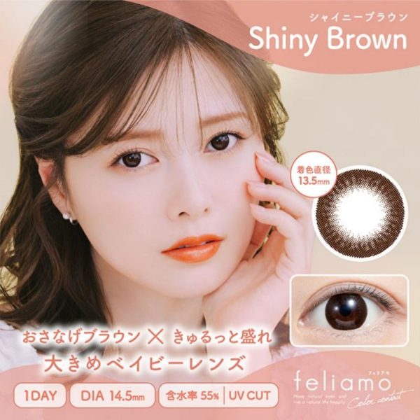 feliamo 1Day Shiny Brown DIA|14.5mm 10pcs Color Contact Lenses