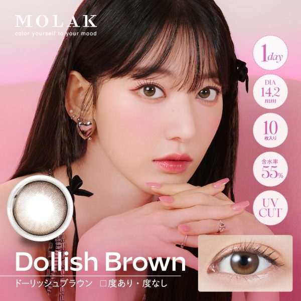 MOLAK 1Day Dollish Brown DIA|14.2mm 10pcs Color Contact Lenses