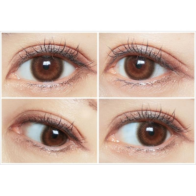 mimuco 1Day Brown Fondue DIA|14.2mm 10pcs Color Contact Lenses - Image 3