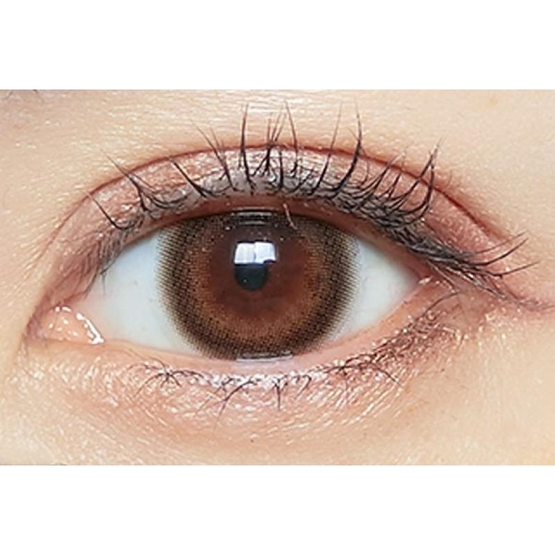 mimuco 1Day Brown Fondue DIA|14.2mm 10pcs Color Contact Lenses - Image 2