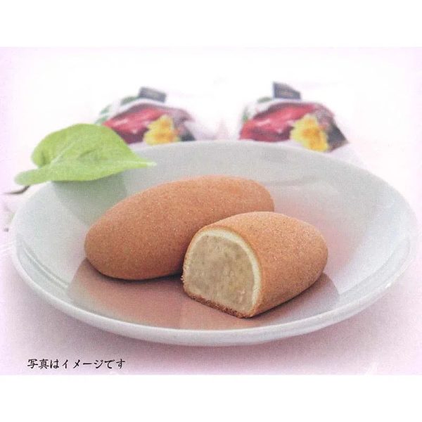 Beijing Fushi Cangjiang and Huang Ji Wanshou Sweet Potato Bean Paste Steamed Bread Snack 1 Pack