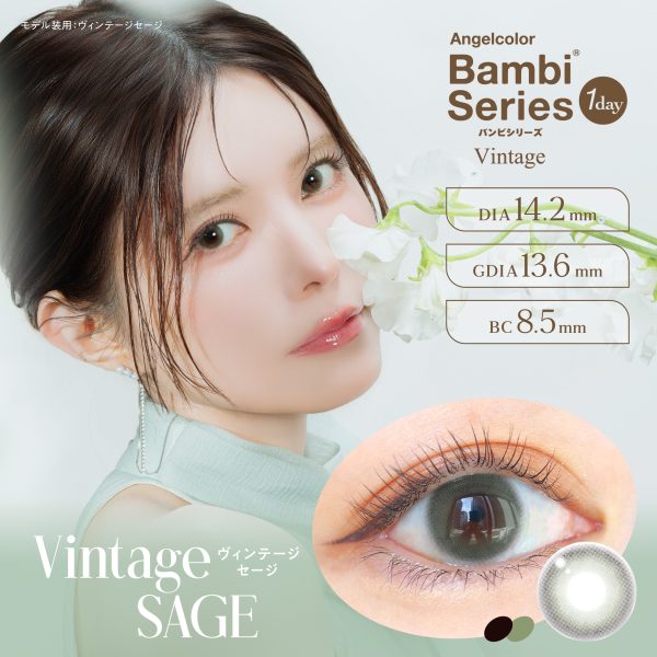 AngelColor Vintage 1Day Sage DIA|14.2mm 10pcs Color Contact Lenses
