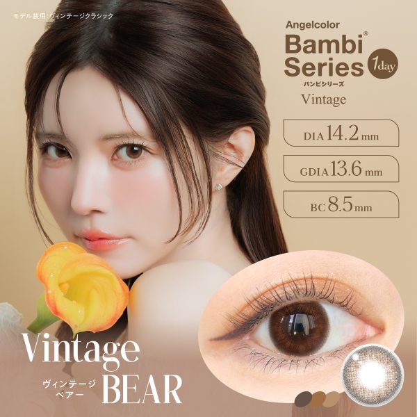 Angelcolor Vintage 1Day Bear DIA|14.4mm 10pcs Contact Lens