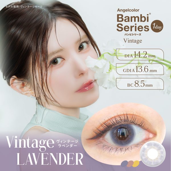 Angelcolor Vintage 1Day Lavender DIA|14.4mm 10pcs Contact Lens