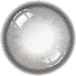 FOMOMY Highlight 1Day Highlight Black DIA|14.2mm 10pcs Contact Lens - Image 3