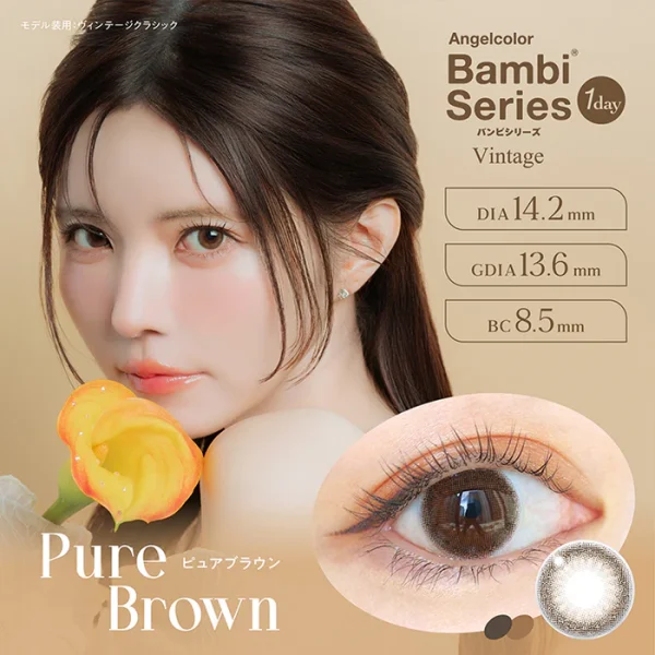 Angelcolor Bambi 1Day Pure Brown DIA|14.2mm 10pcs Color Contact Lenses