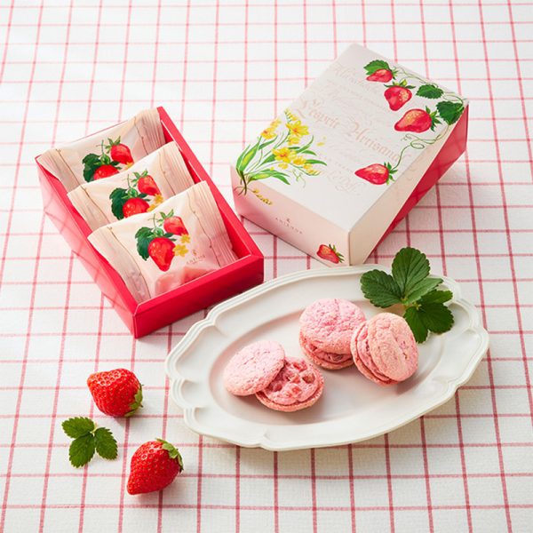 Antenor Strawberry Cream Sandwich Cookies 3 Cream Sandwich Cookies / 7 Chocolate Langue de Chat / 9 Piece Assorted Gift Set Multiple Options Available