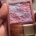 CANMAKE Glow Fleur Cheeks